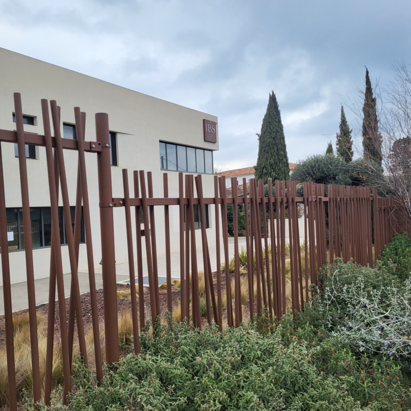 Installation Clôtures barreaudage et portail à l école IBS à Luynes